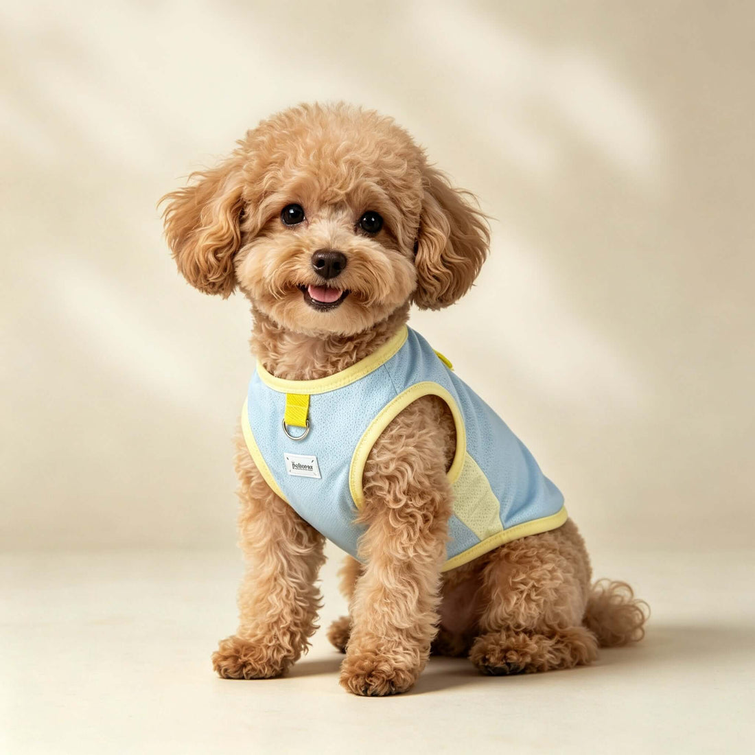 Pet clothing in lavender and mint, designed for comfort and style, perfect for pets&