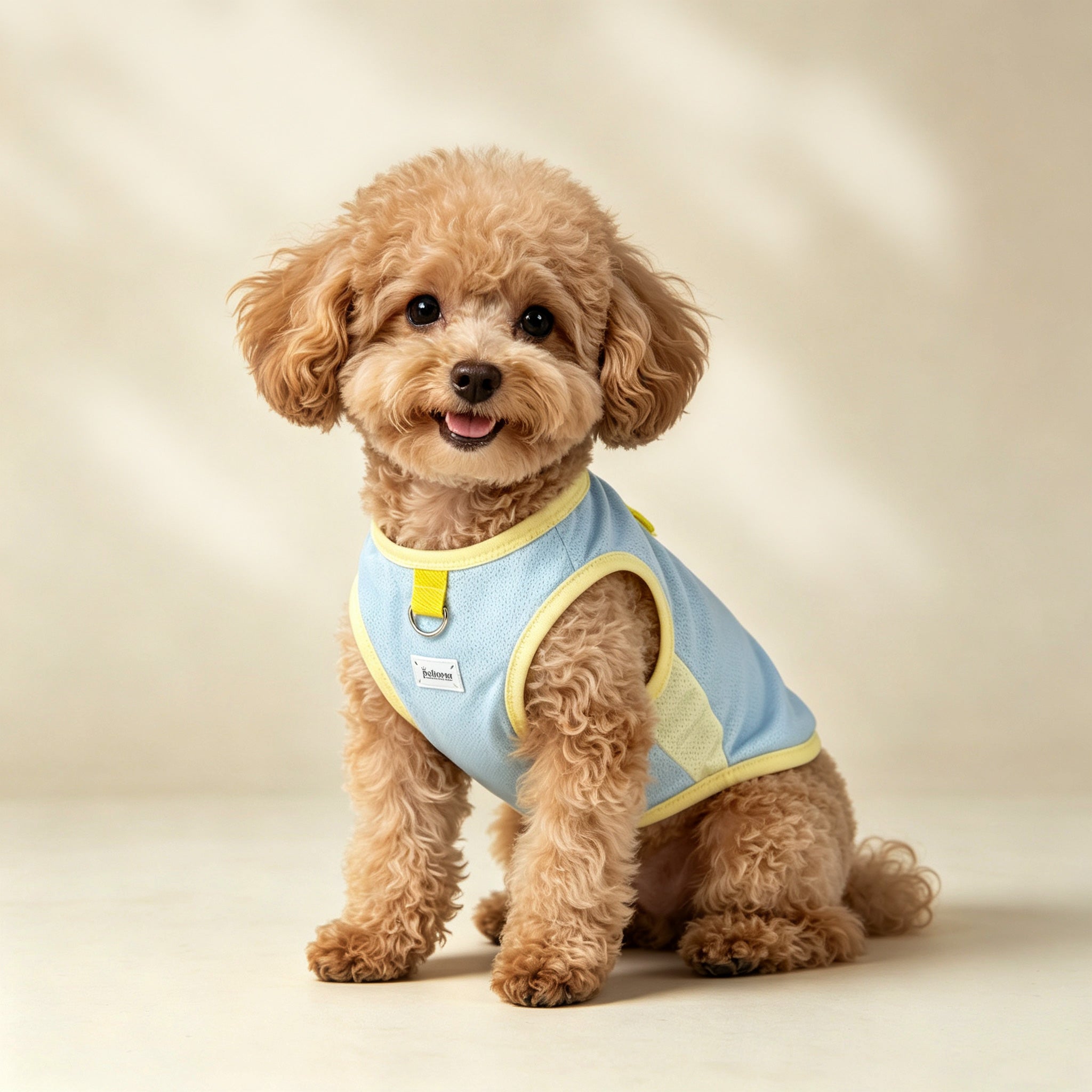 pet clothing